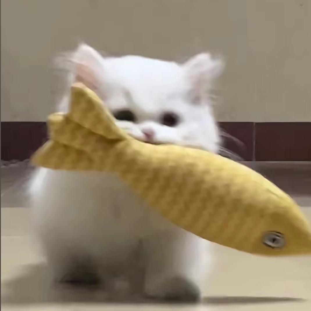 猫小鱼