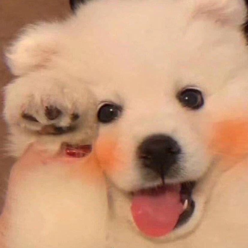 王哈哈～