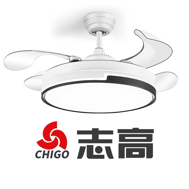 志高冠宁专卖店