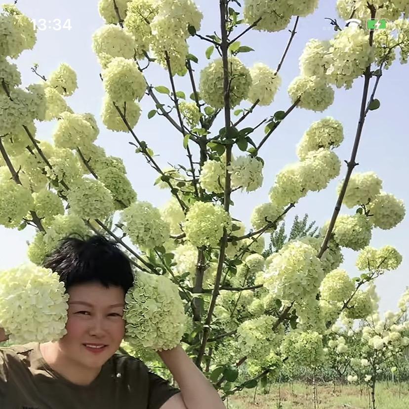 耐寒园林