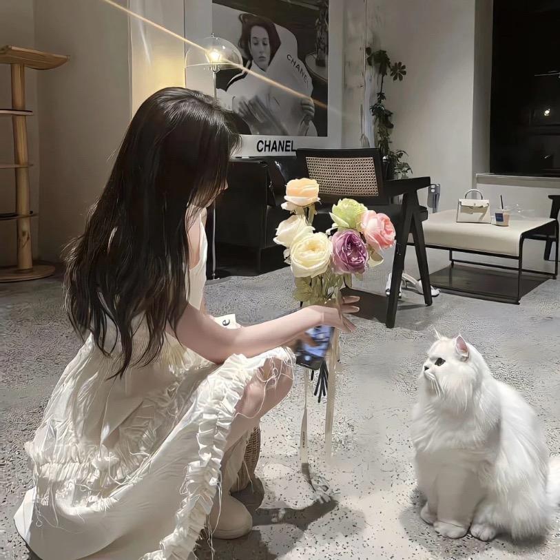 Yuumi