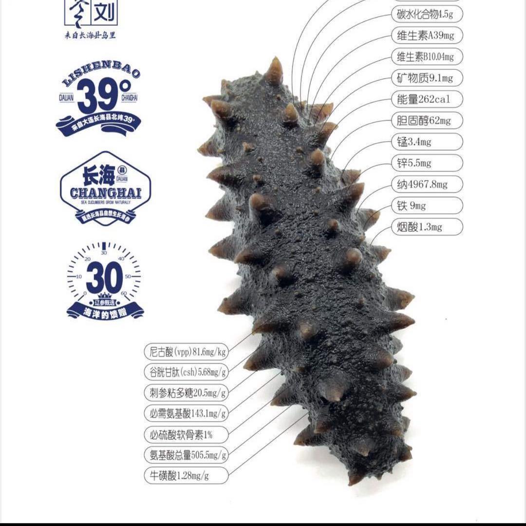 海宁卖海参的小姐姐