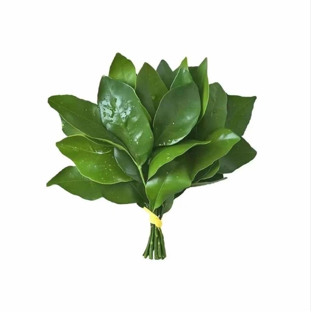 呆瓜