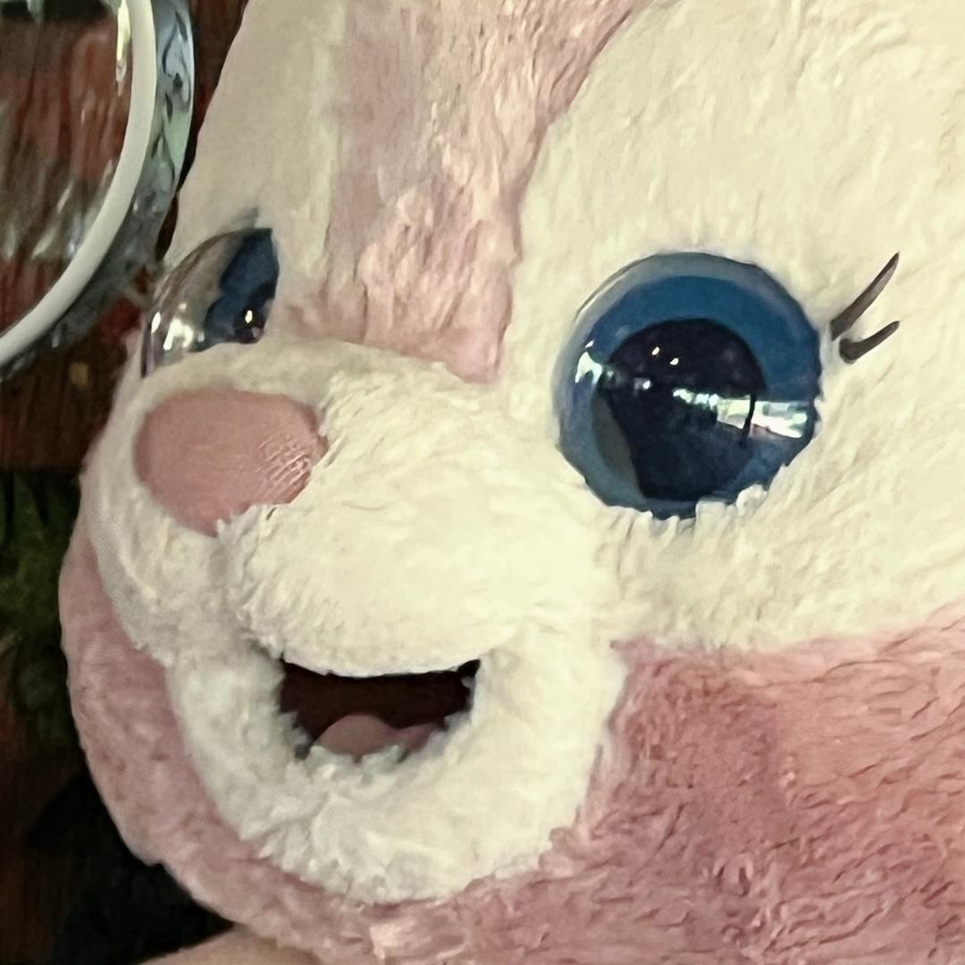 77🐾