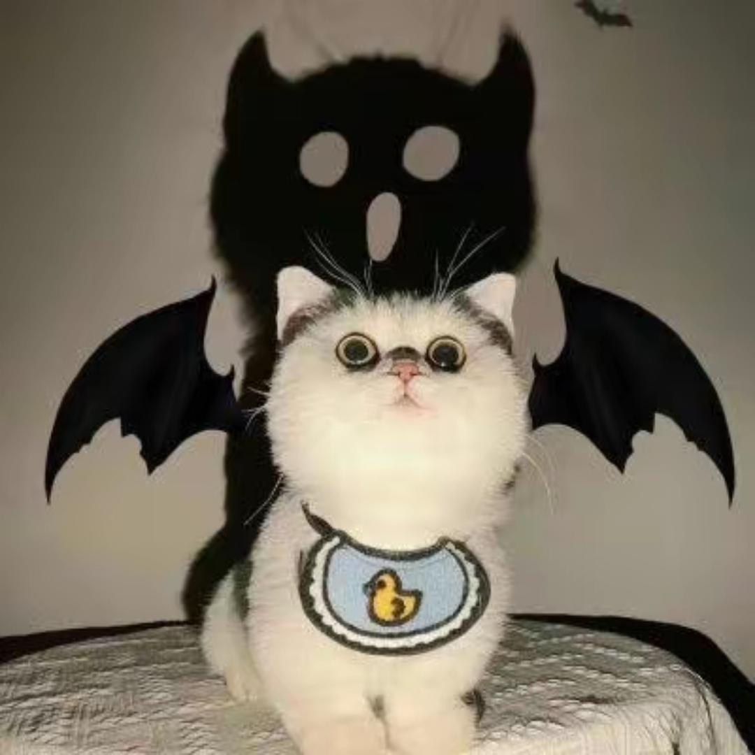 长春中东新天地零售二组小林同学