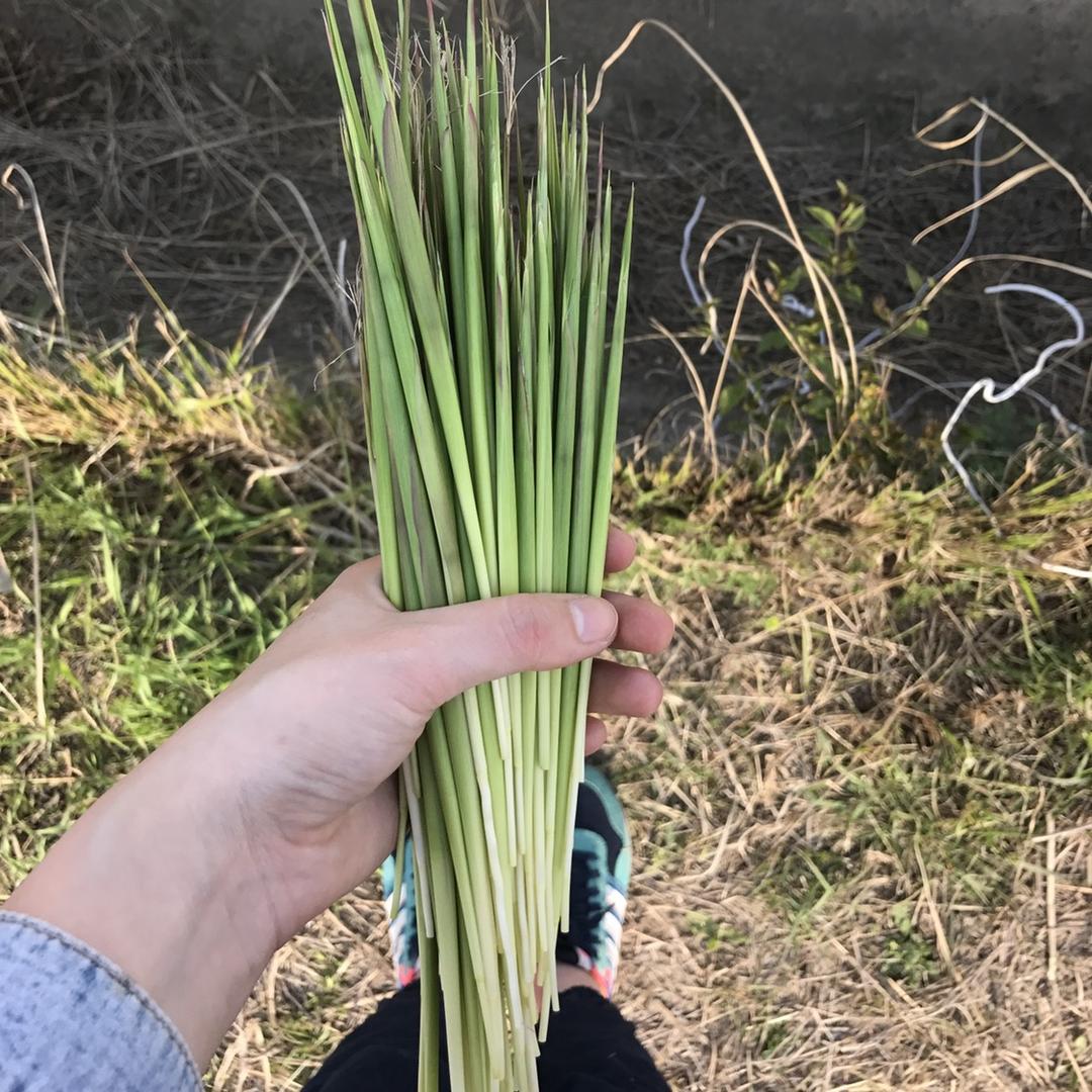 苏北生鲜搬运工