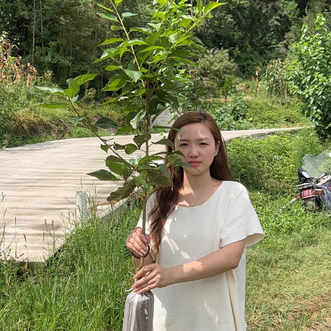 川妹果树苗