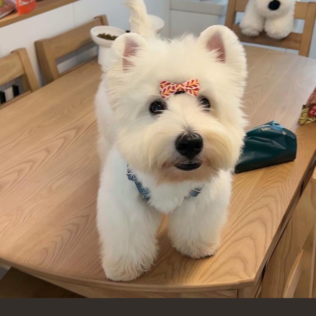 方圆