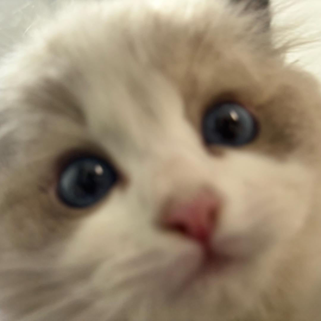 起疯了