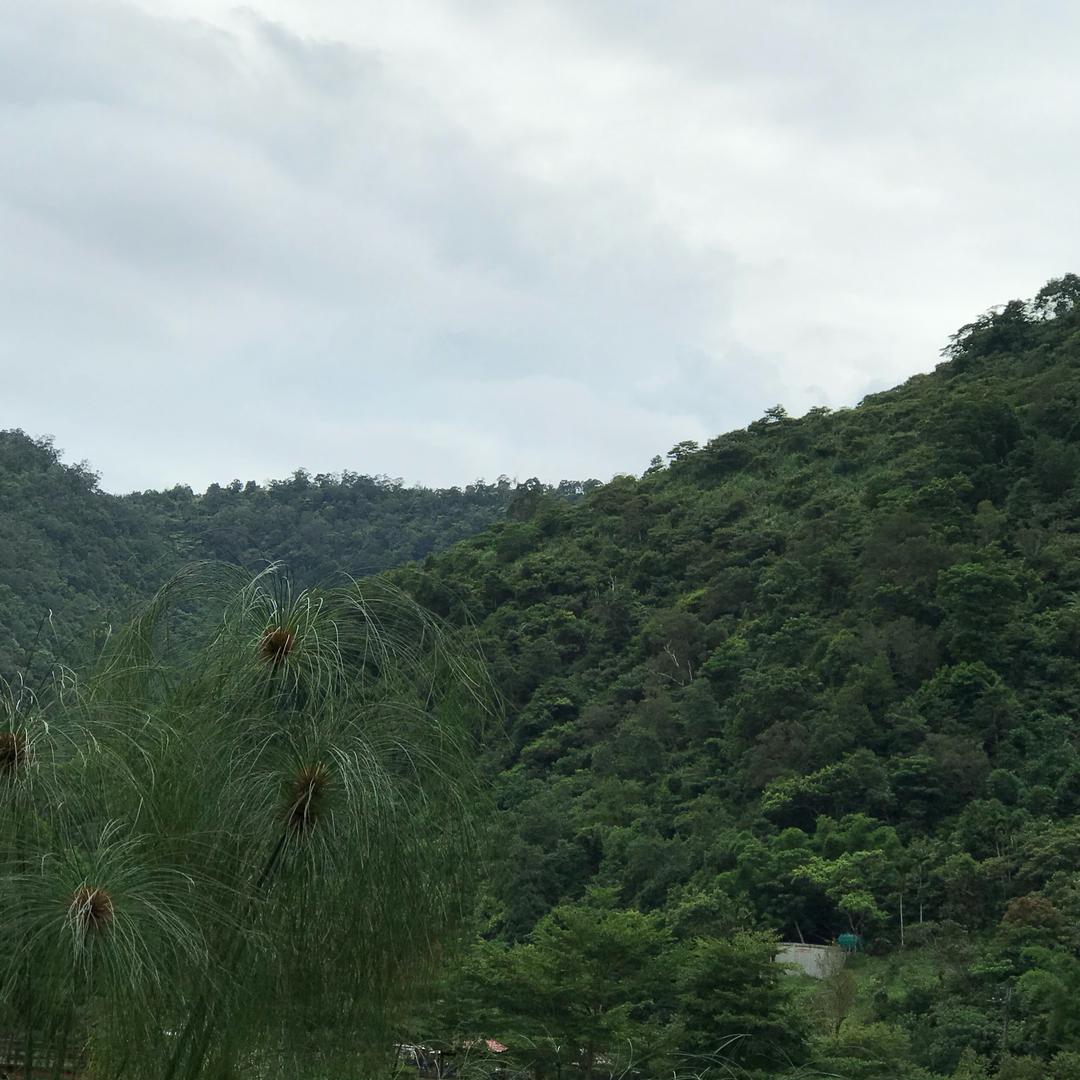惜寶头像