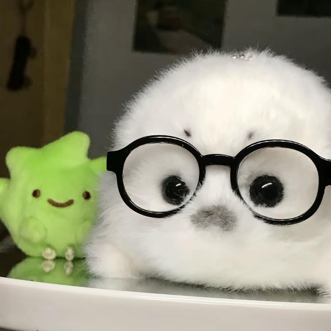 洋阳羊🐏✨