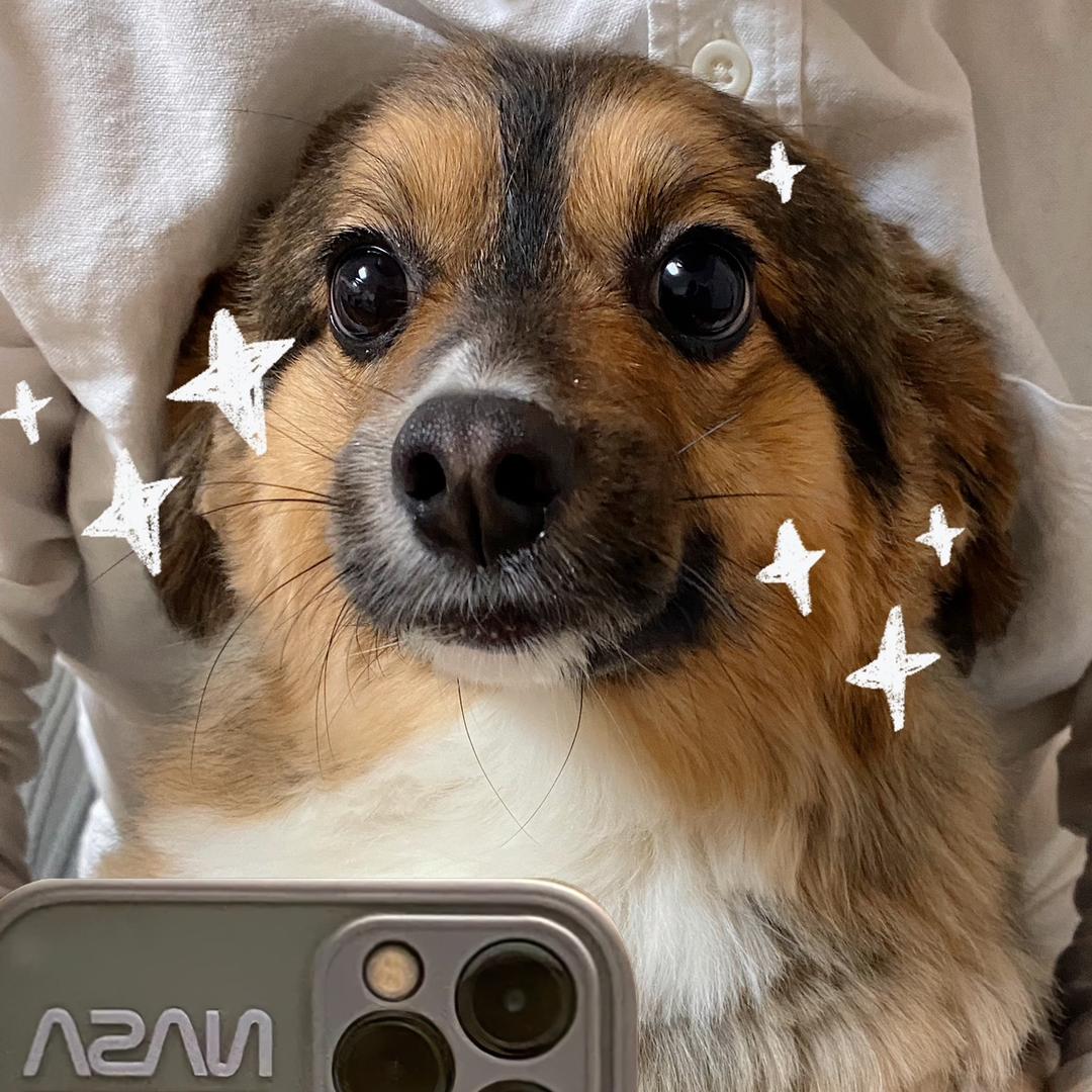 7⃣️喜