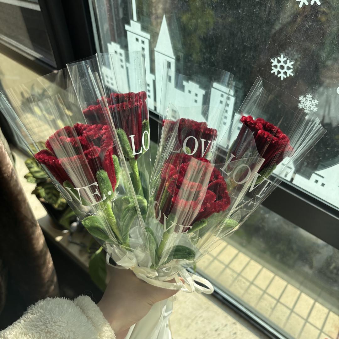 是珊瑚啊🪸手工