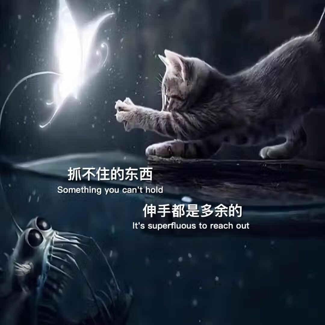 梦里不知身是客