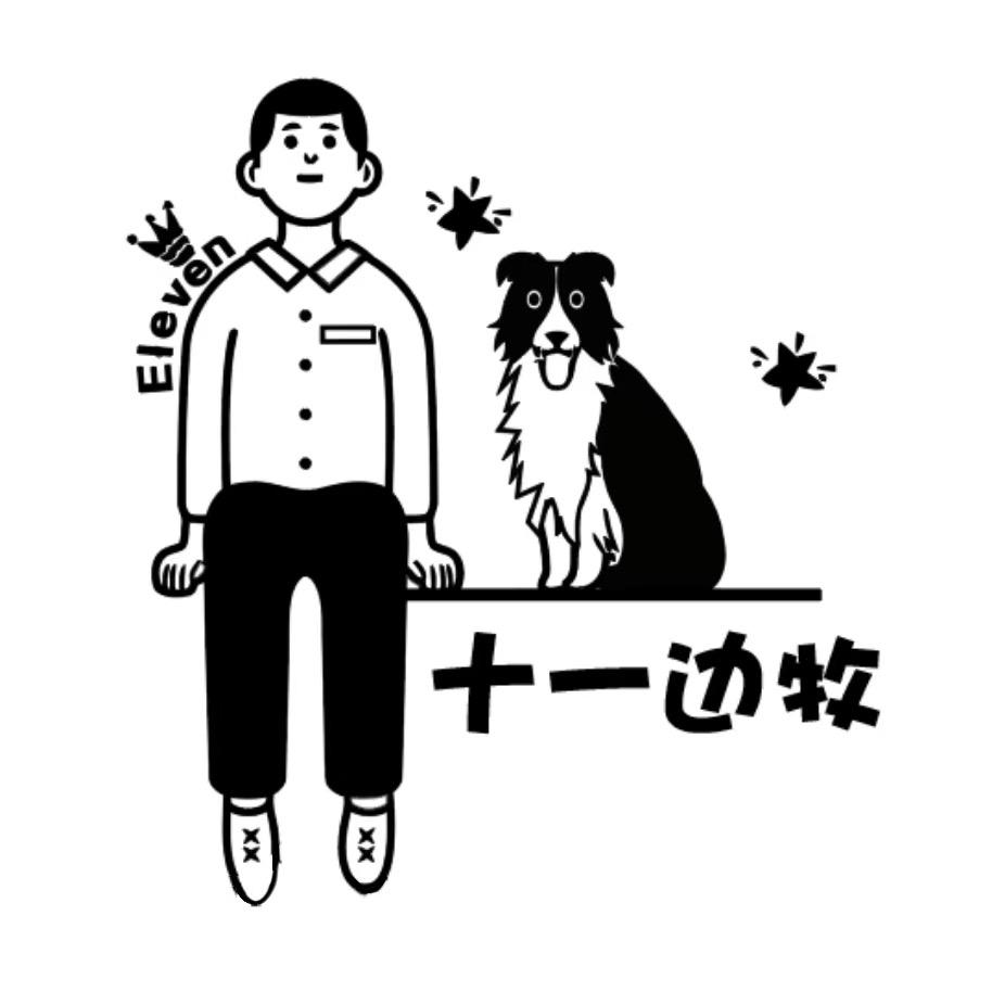 十一边牧犬舍（直播 2号）