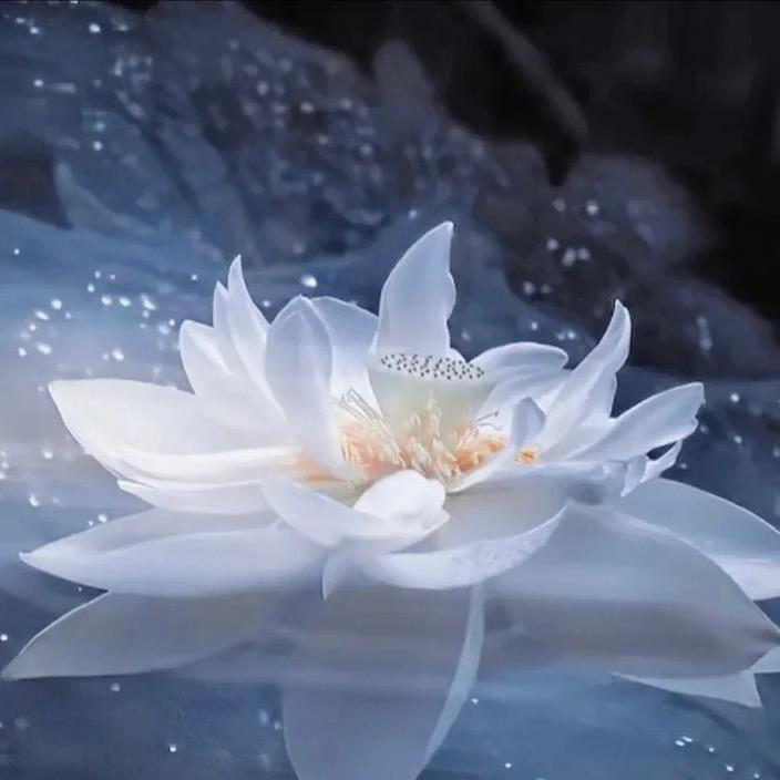 静心源头厂家供应链