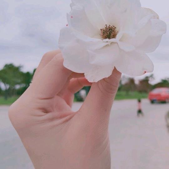 ☀小太阳