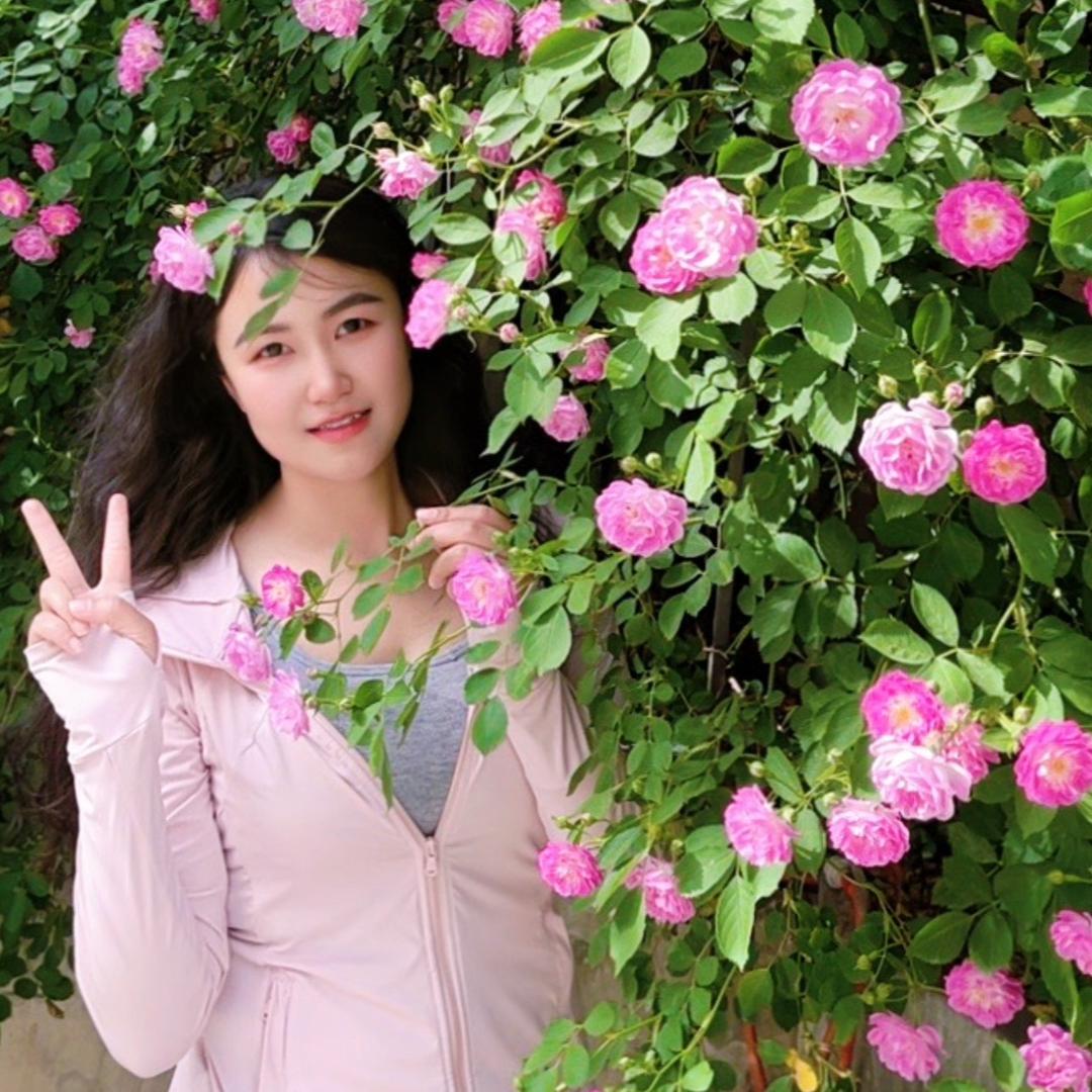 肥西恒妹攻略