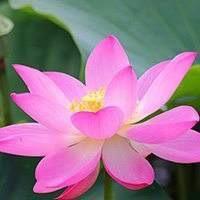 吉祥如意-