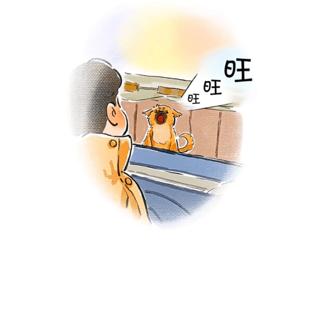 每天六点起床