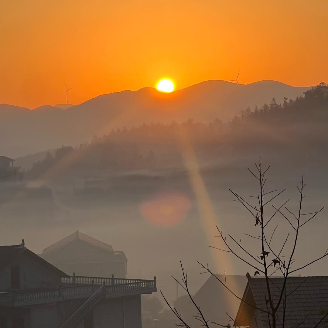 波波呀