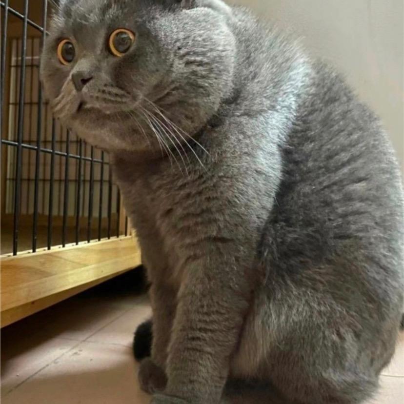 🇨🇳李什么伟🇹🇭