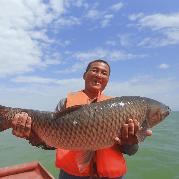 大胡子的幸福生活