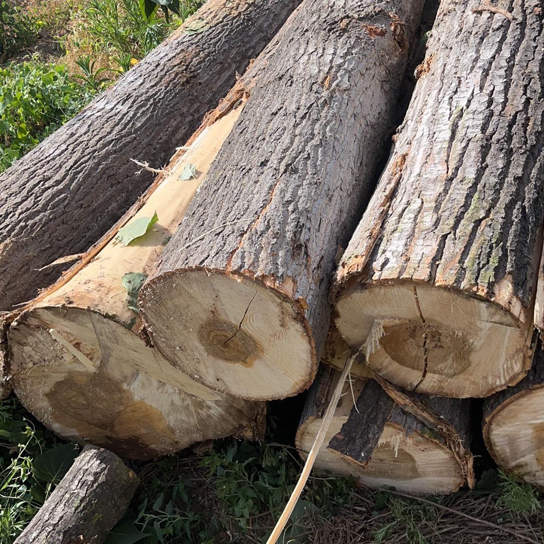 🪵木材购销🪵