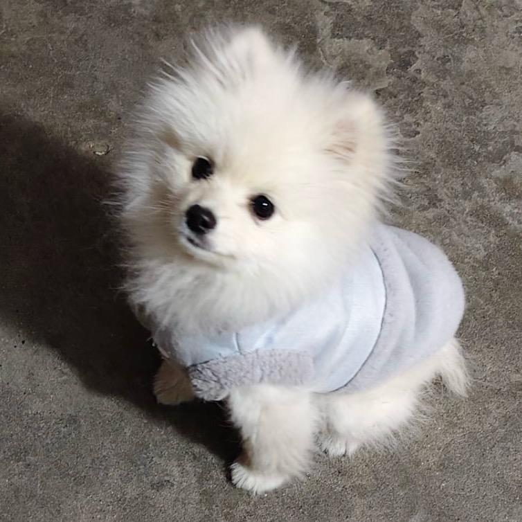 重生之被游戏大佬狠狠带飞