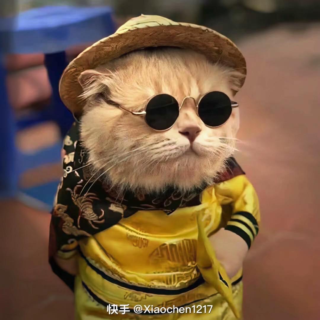 马路牙子🍖（摆摊创业中）