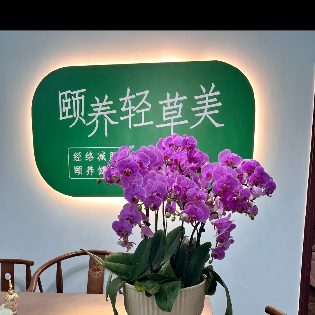 颐养轻草美官方账号