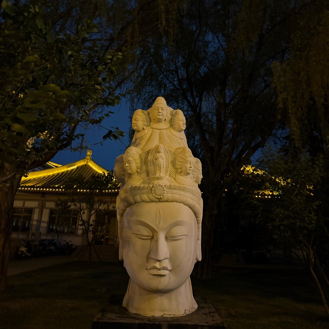 多米（电脑版♻️）