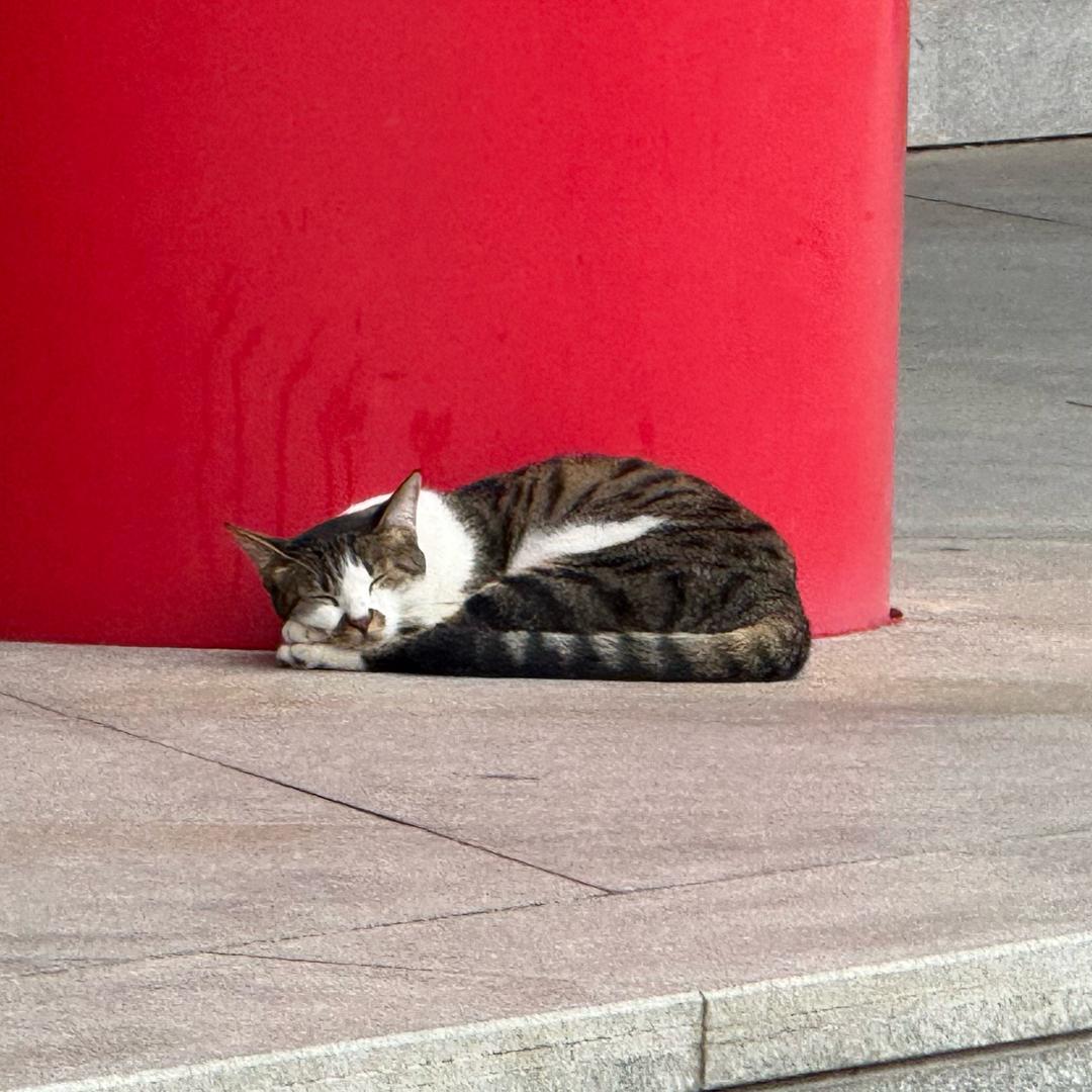 接着奏乐接着（5）