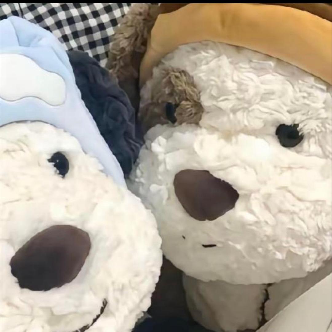 小娟🐷