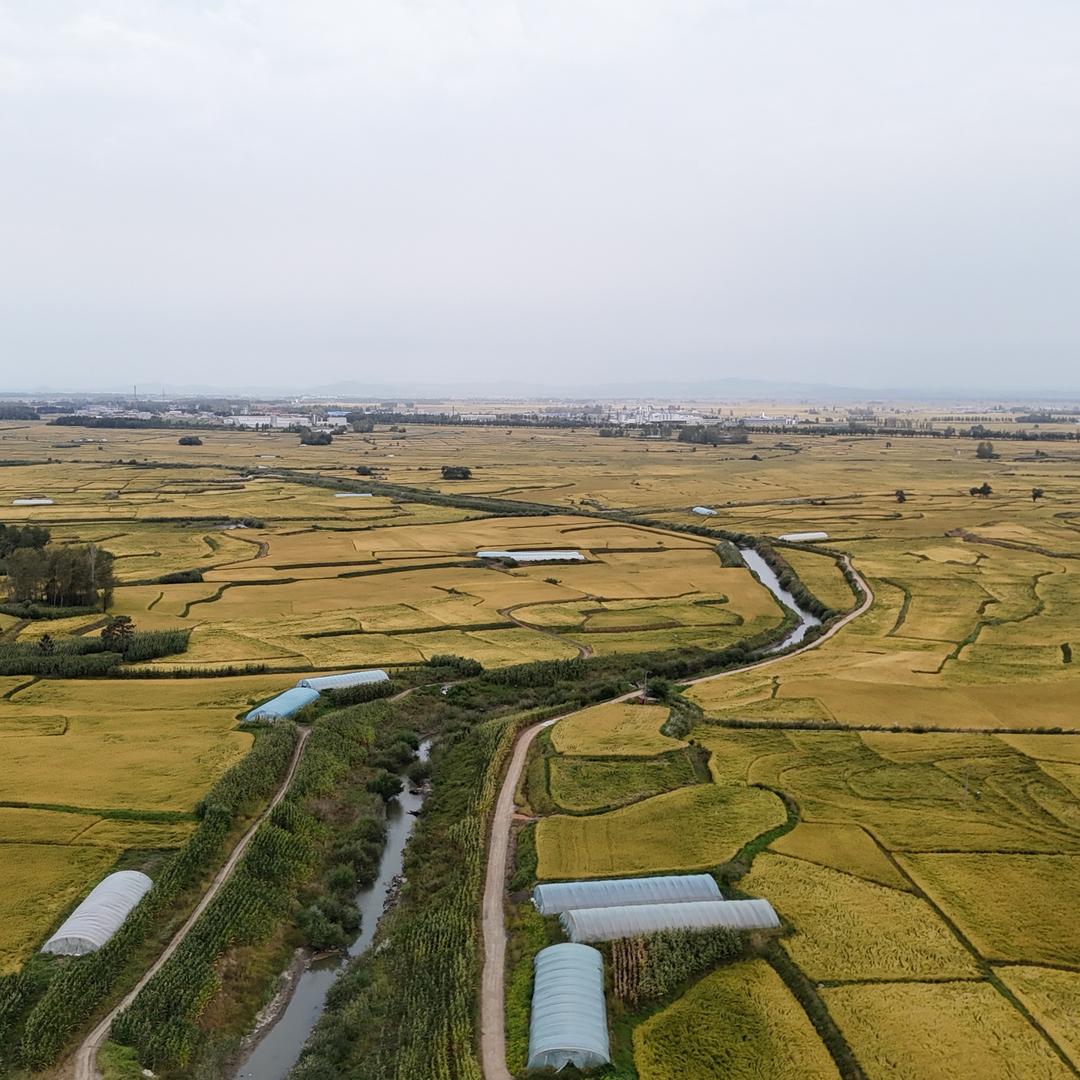 福米玥五常大米