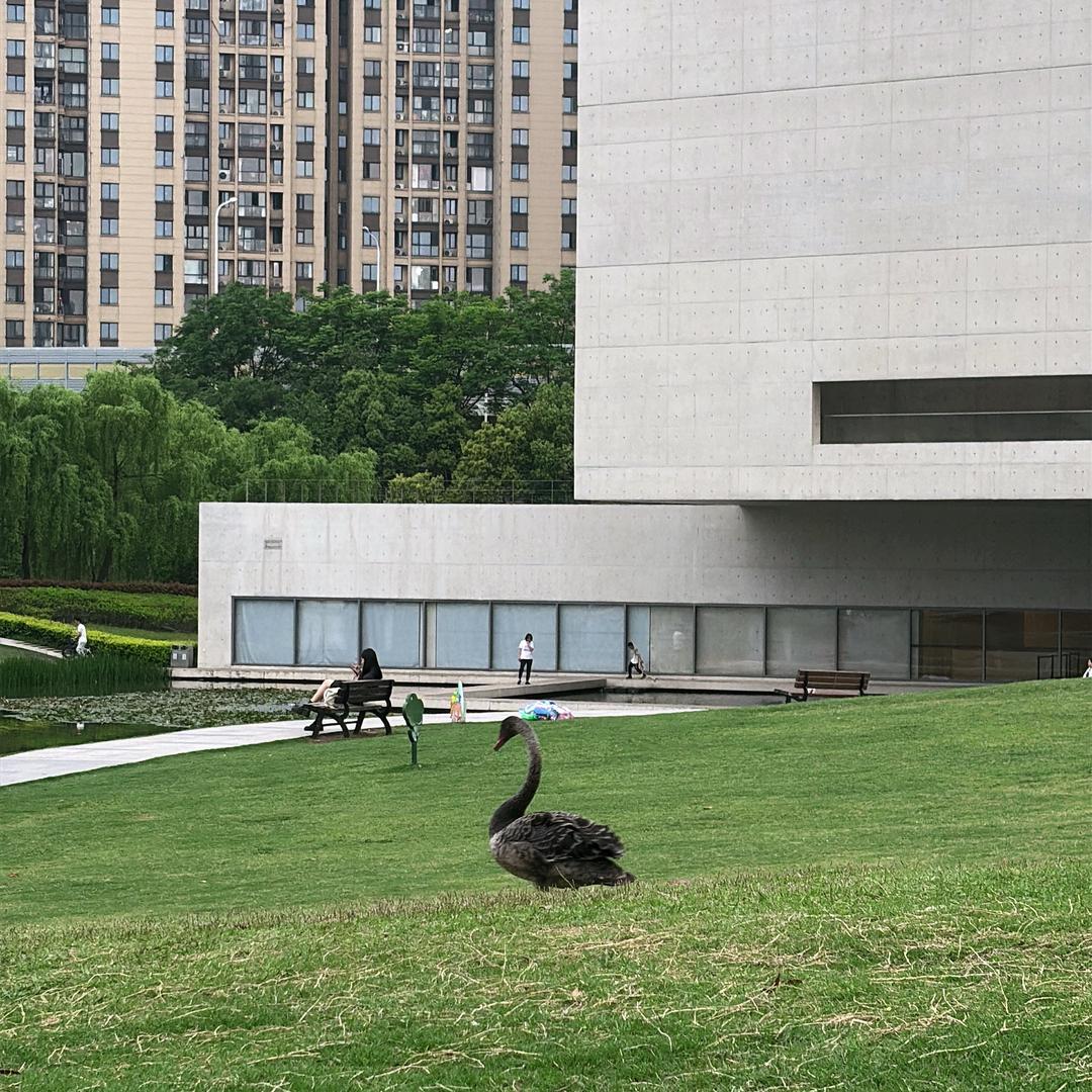 今天也有小确幸