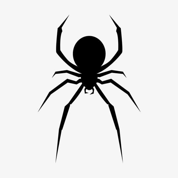黑寡妇🕷（限流版）