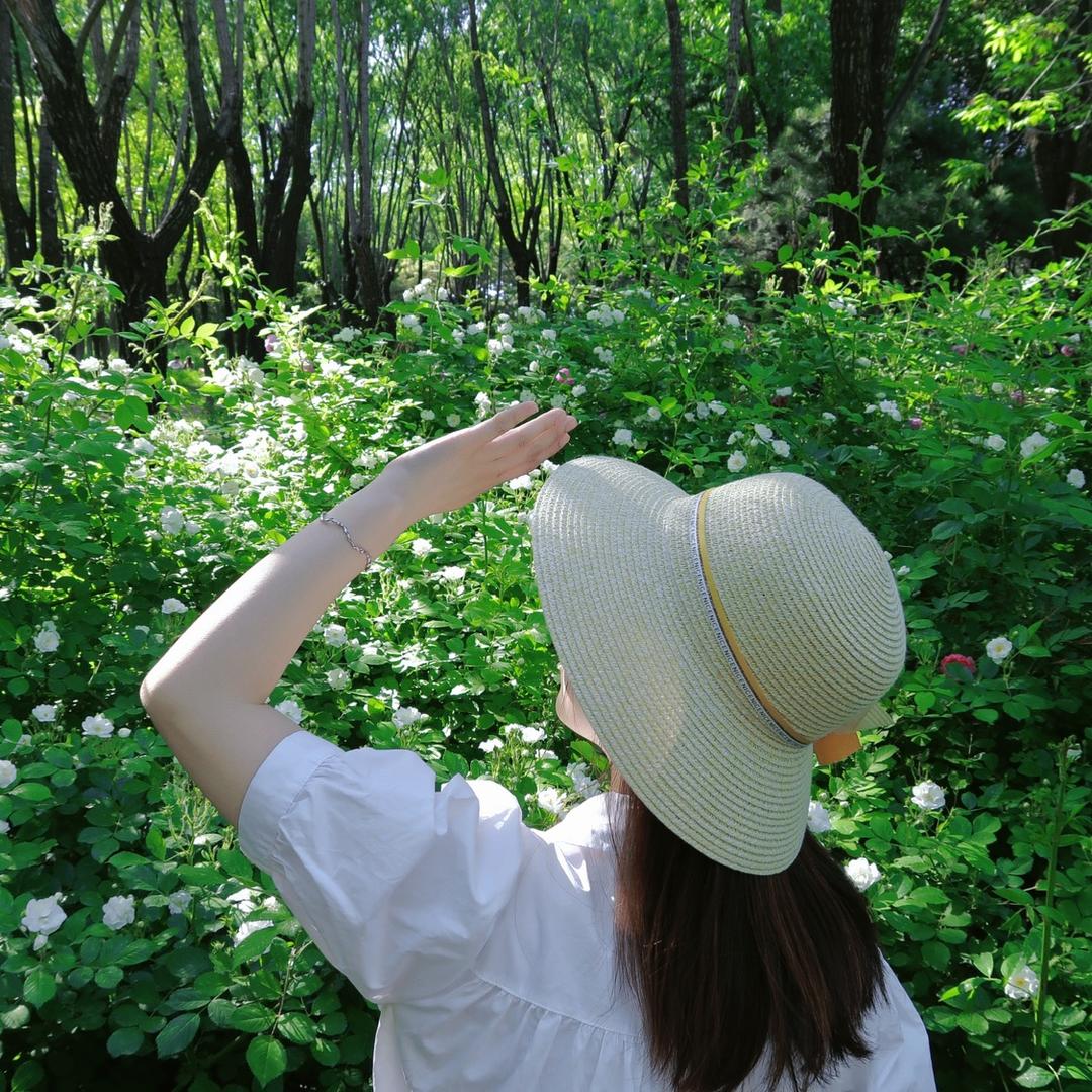 野猪崽崽