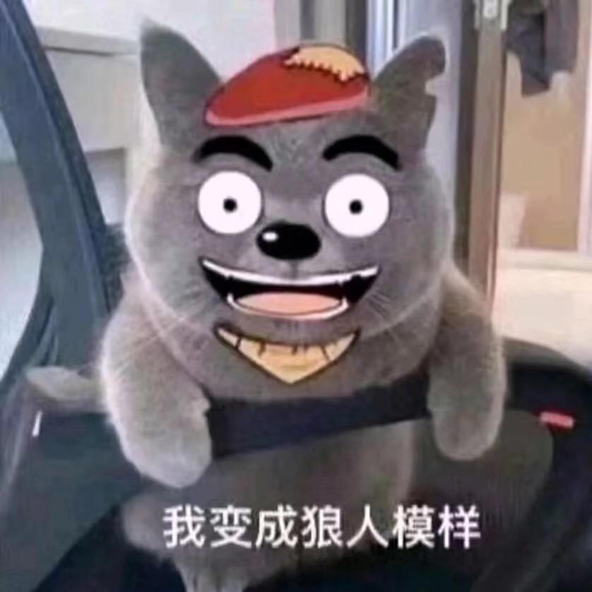 对蛋蛋心动