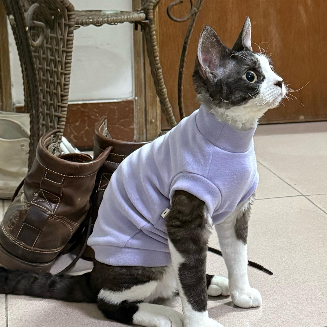 明源公司运营DiDi