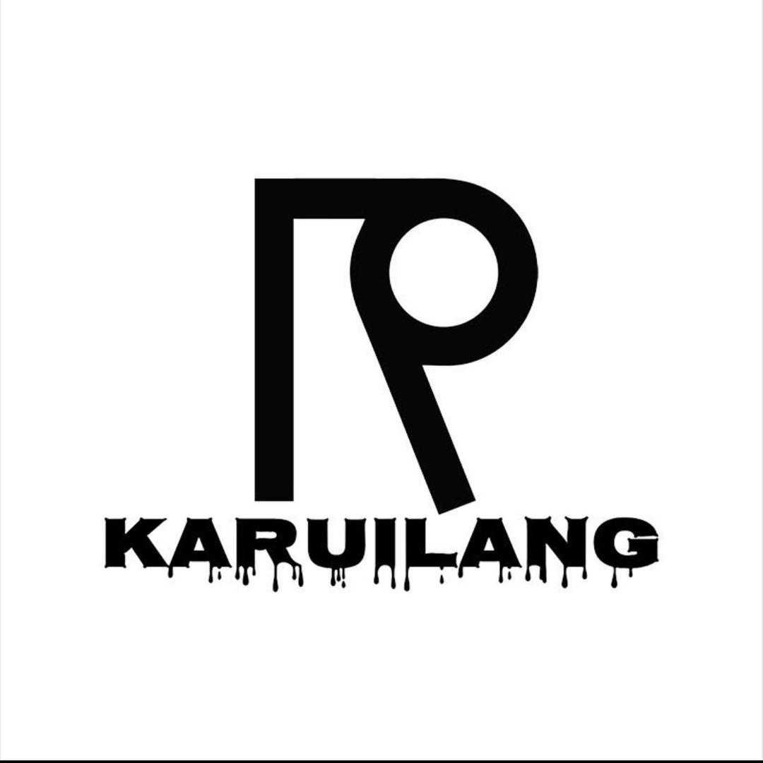 卡瑞郎汽车内饰清洁剂-达人