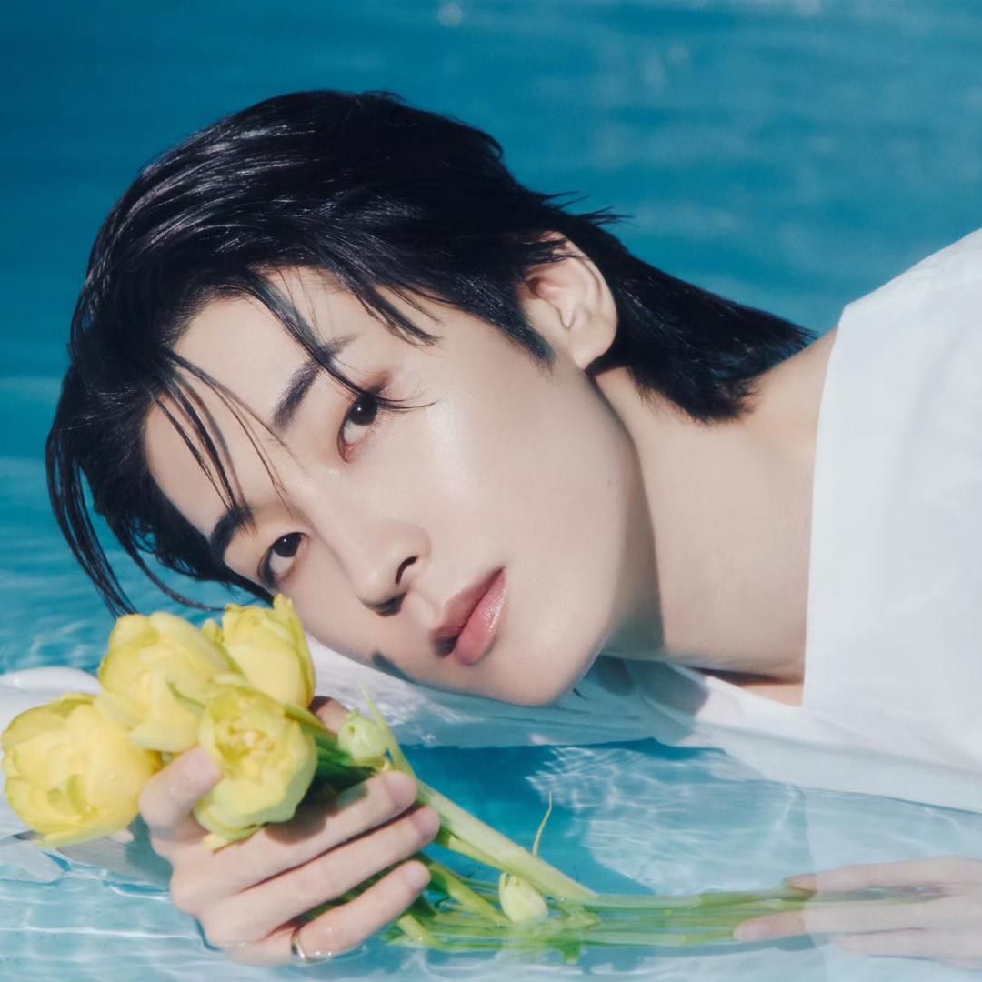 全圆佑老婆（追星版）