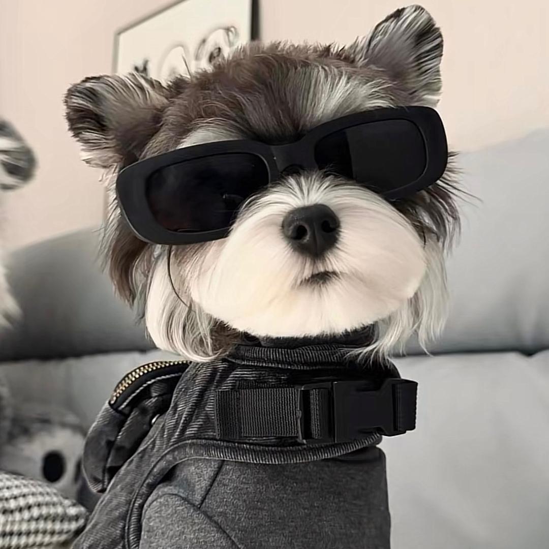 蛋黄在唧唧喳喳