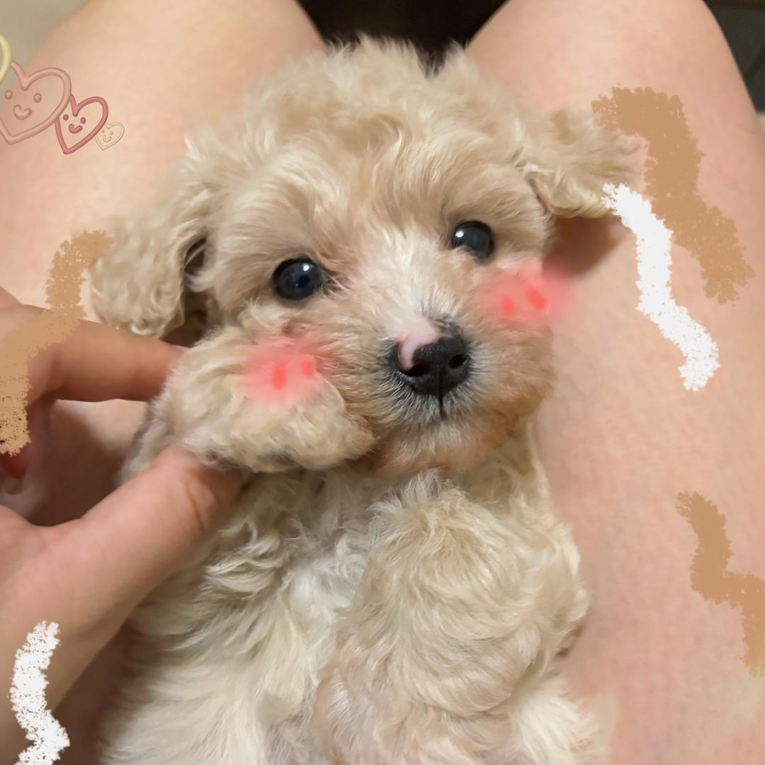 yuki