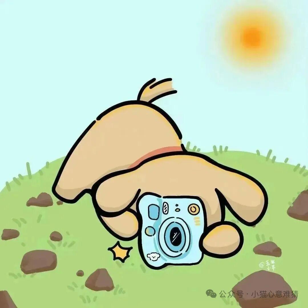 小chen又困惹😪