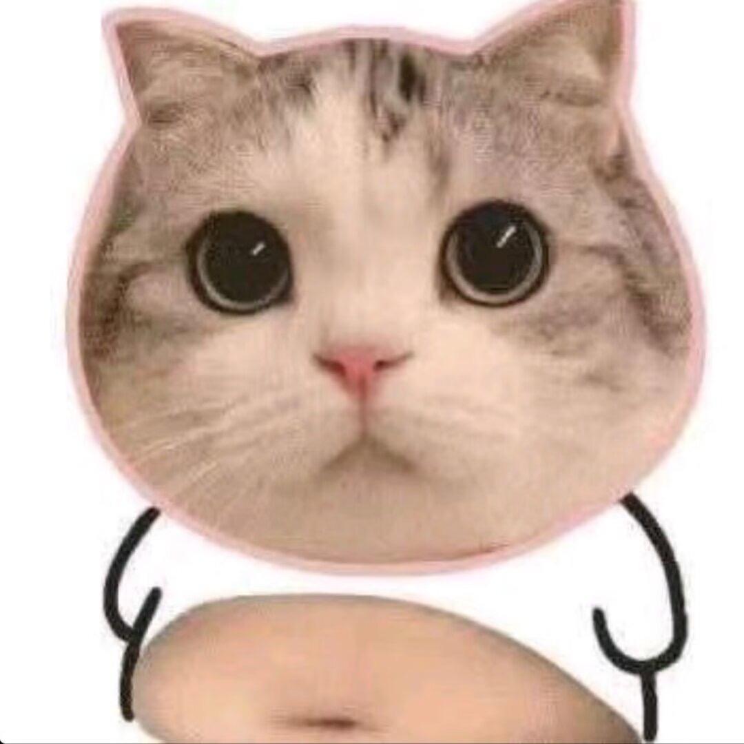 😴