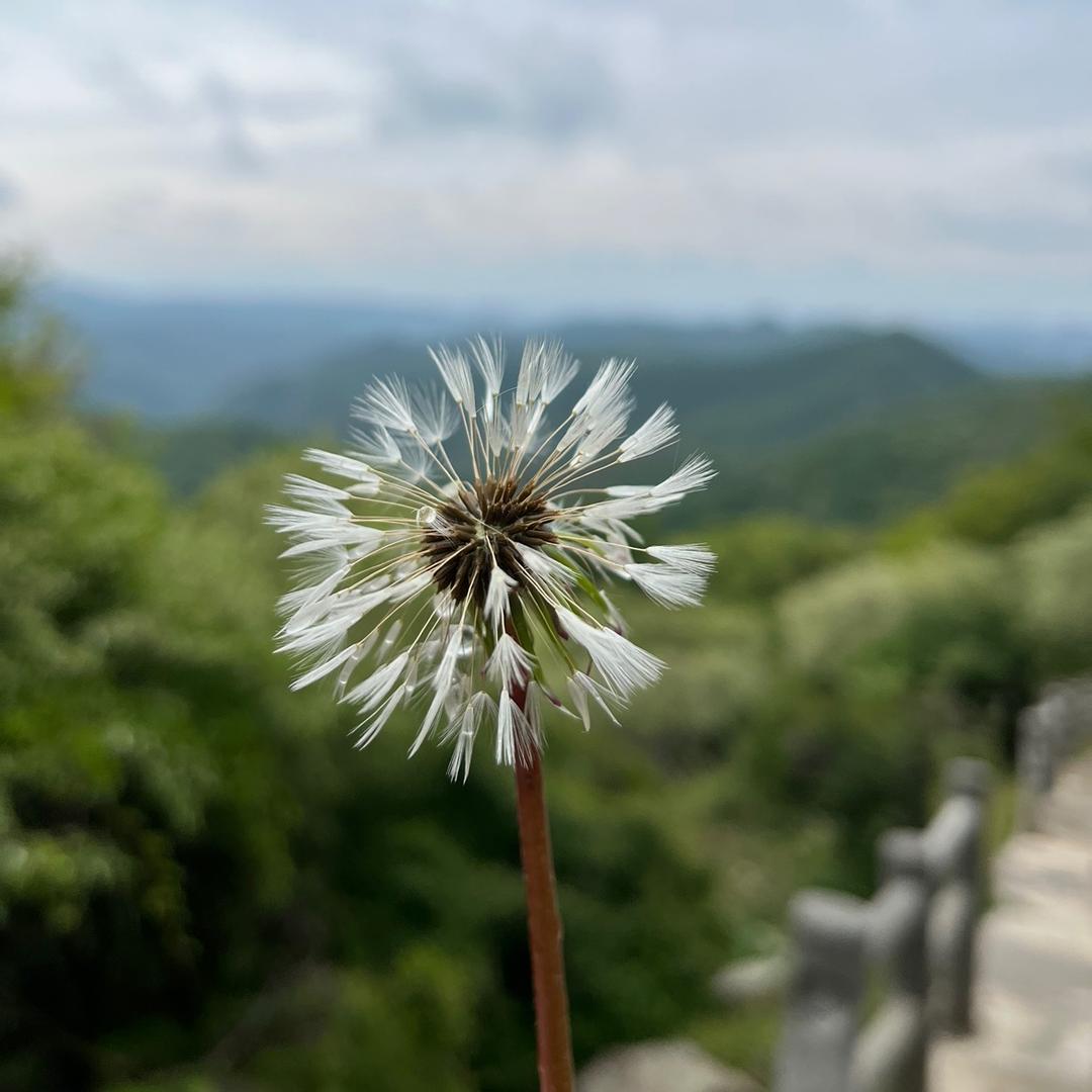 莎姐