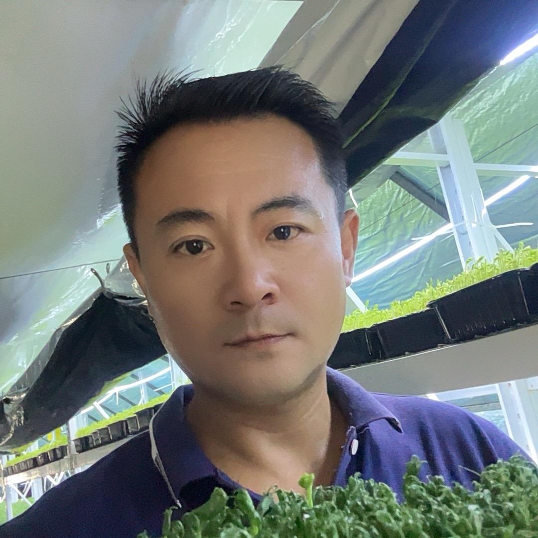 赵氏芽苗菜