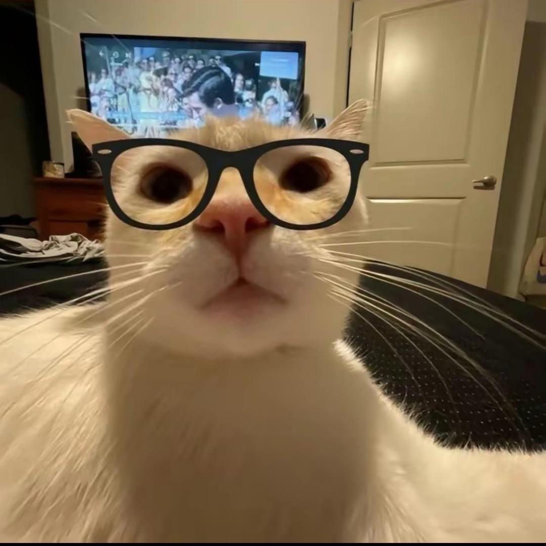 迷你世界女王陛下