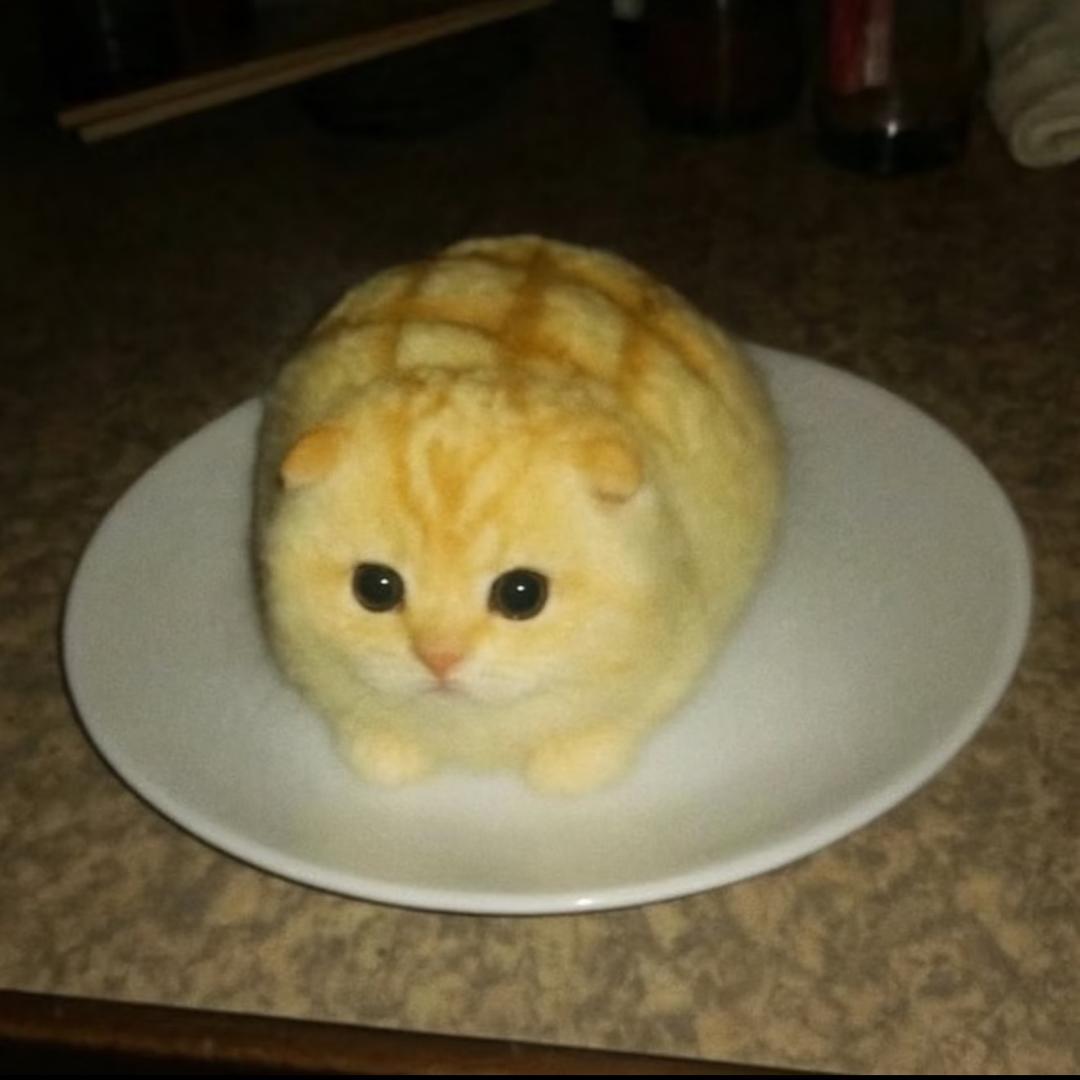 腻腻